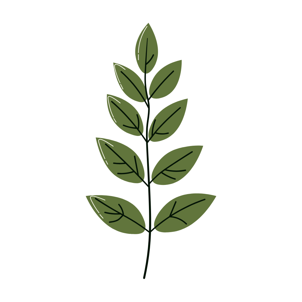 Sprouting stem with leaves